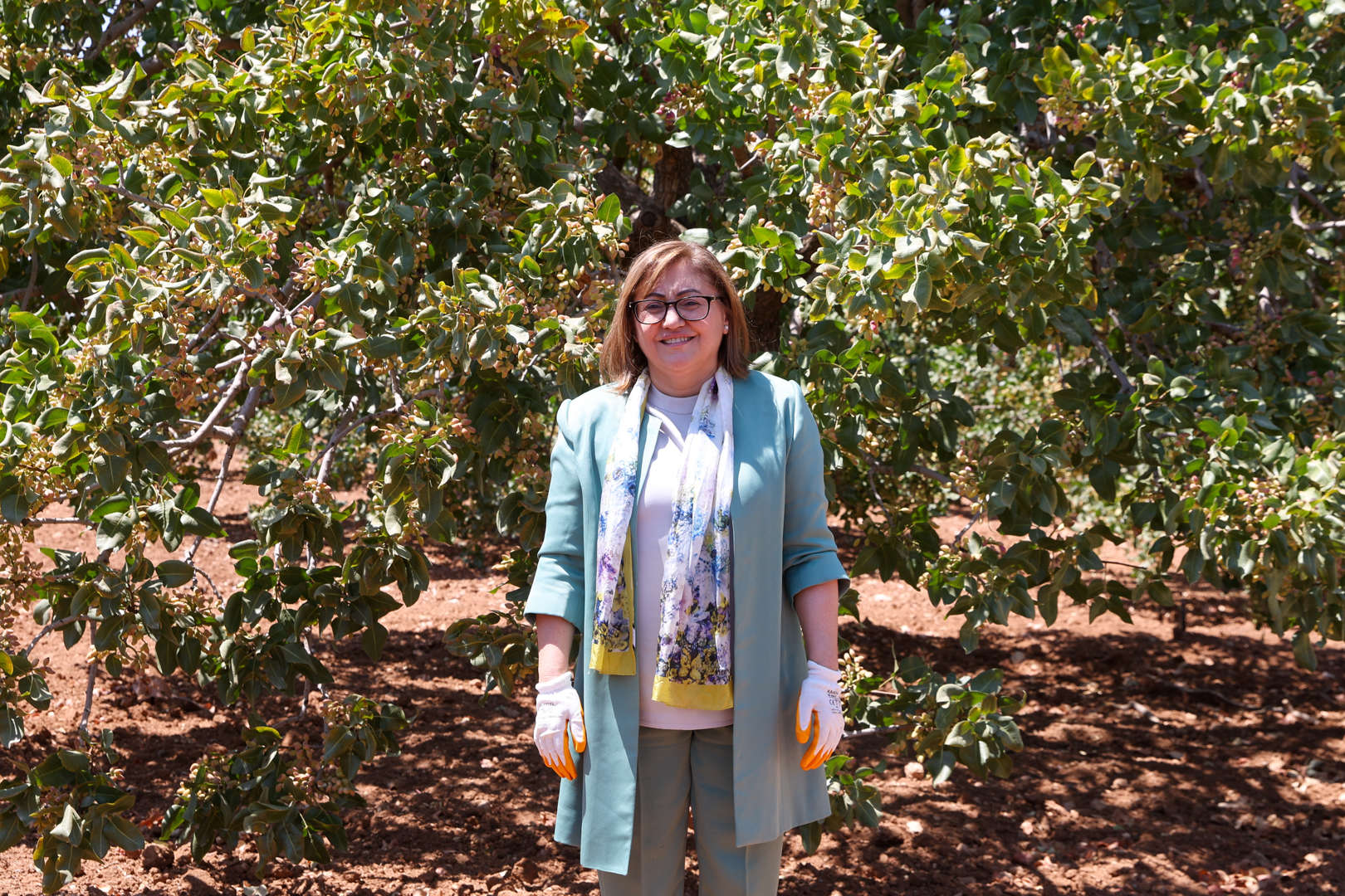 fıstık üreticilerine çifte müjde!