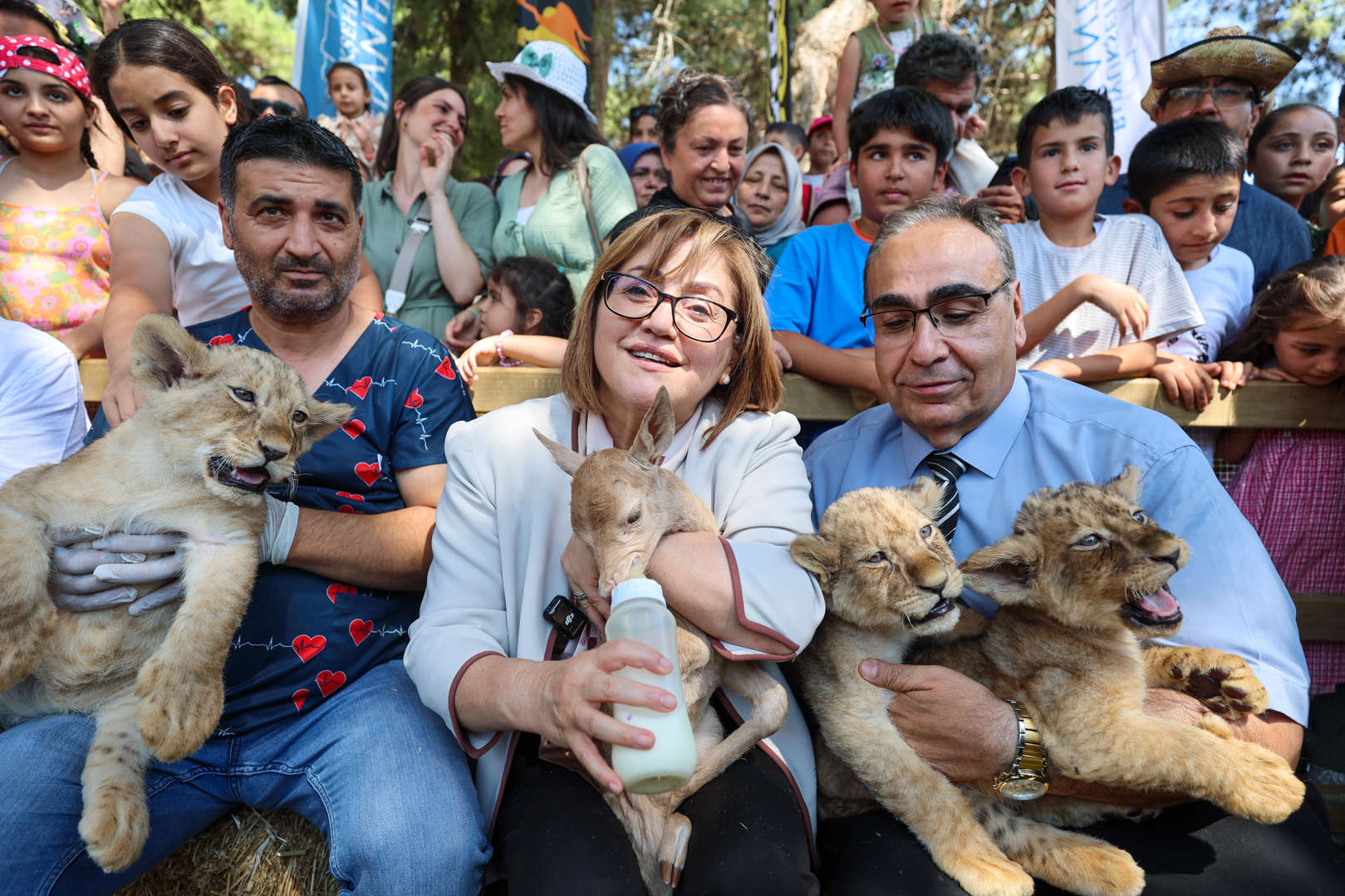 gaziantep'te aslanlar üçüz, dördüz doğuruyor çünkü mutlular!