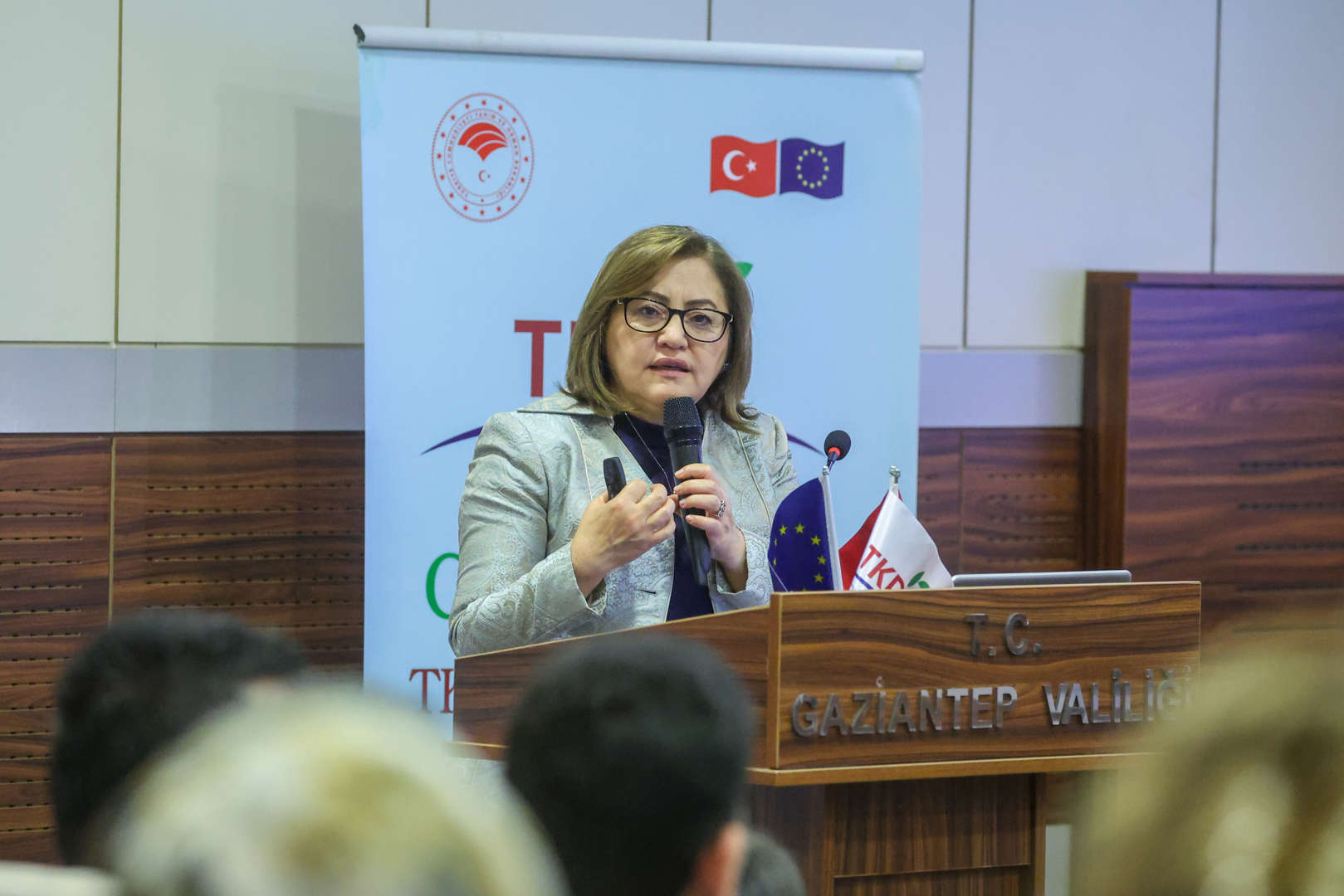 ıpard ııı programı ve tkdk tanıtım programı